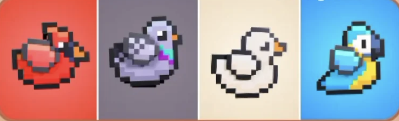 BIRD Daily Combo 22 May 2025